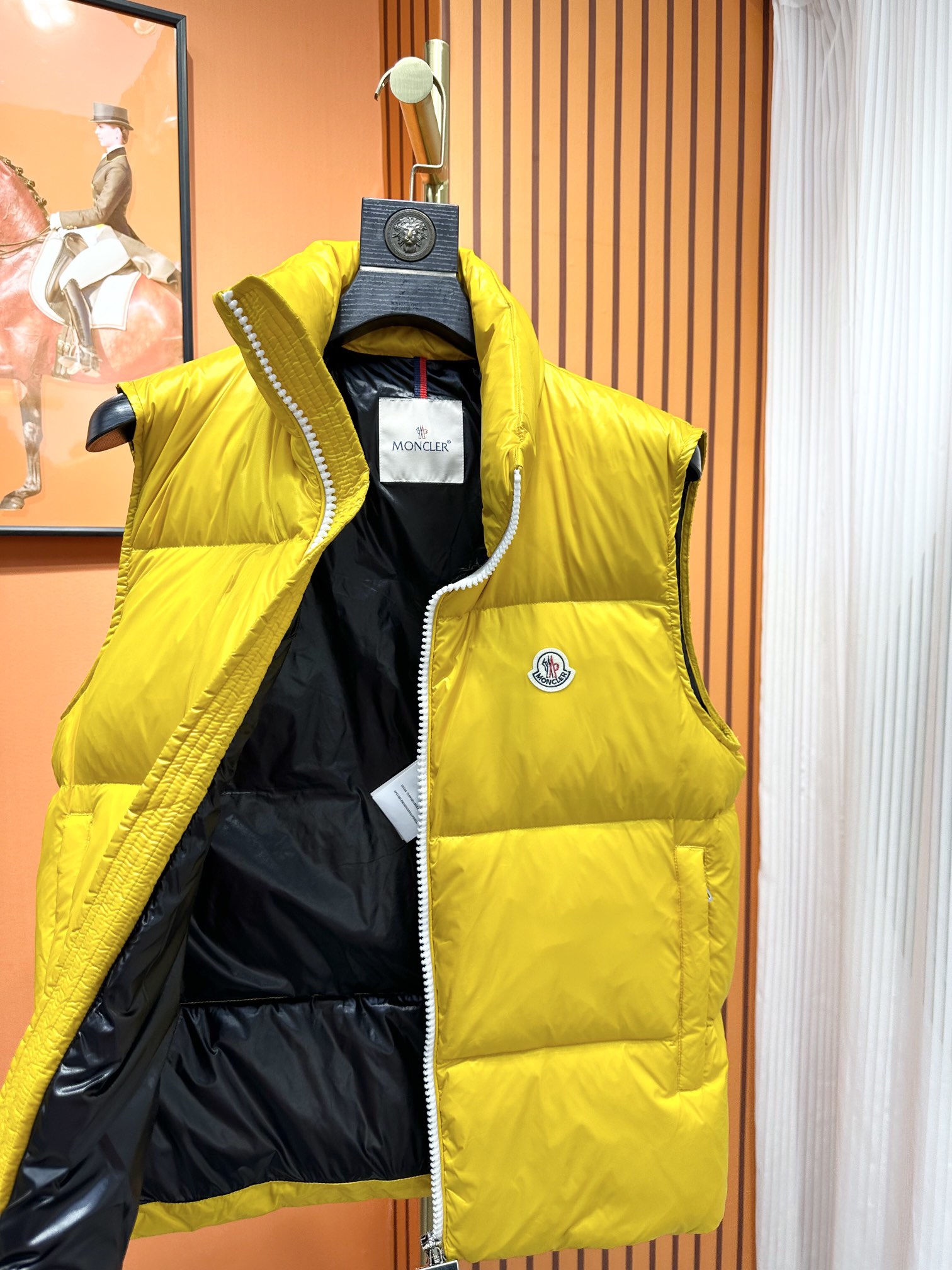 Moncler Down Jackets